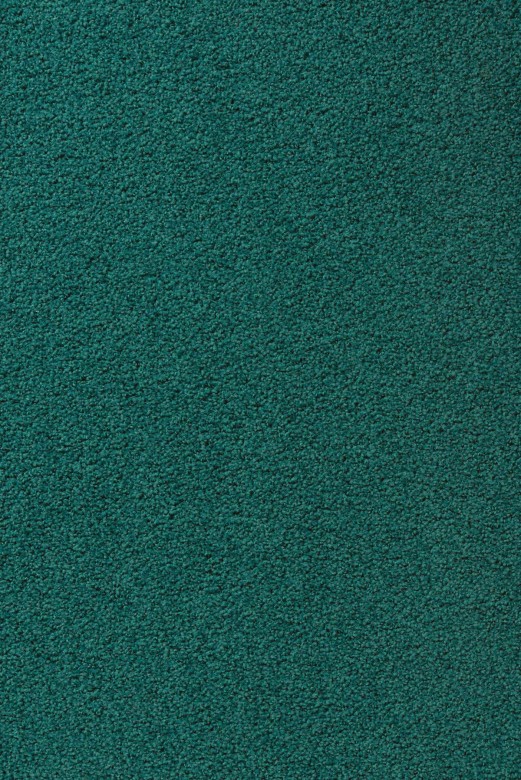 Vorwerk%20Exclusive%201009%204F71.JPG