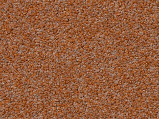 Vorwerk_Superior_1012_1M89_Web.jpg