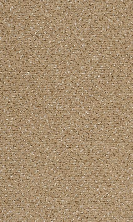VORWERK%20Teppich%20Passion%201006%20Alexis%208K58%20Room%20Up.JPG