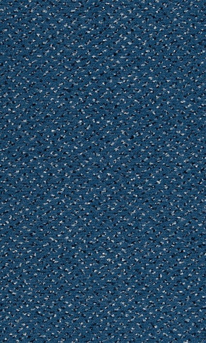 VORWERK%20Teppich%20Passion%201006%20Alexis%203R27%20Room%20Up.JPG