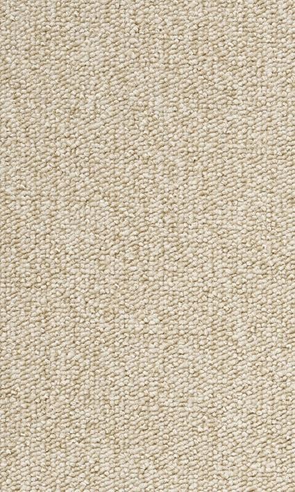 VORWERK%20Teppich%20Passion%201005%20Rondo%208K60%20Room%20Up.JPG