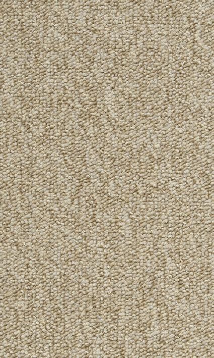 VORWERK%20Teppich%20Passion%201005%20Rondo%205K59%20Room%20Up.JPG