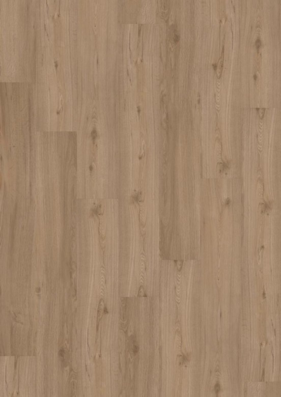 JOKA%20Design%20555%205509%20Spring%20Oak%20Room%20Up.JPG
