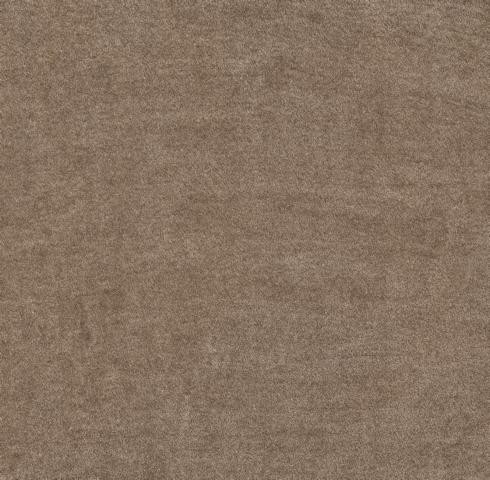 VORWERK%20Teppich%20Superior%201064%20Lyrica%207G73%204m%20Breite%20Room%20Up.JPG