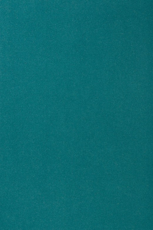 Vorwerk_Passion_1000_3N57.jpg