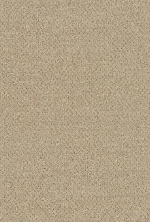VORWERK%20Teppich%20Superior%201071%20Dacapo%208K32%20Room%20Up.JPG