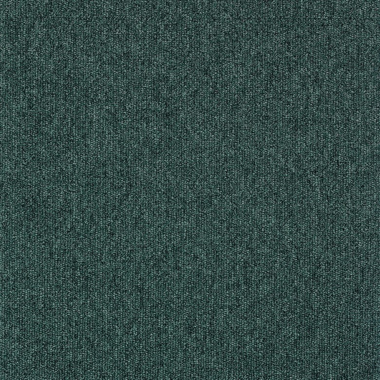 Master 490 ITC - Teppichboden Schlinge