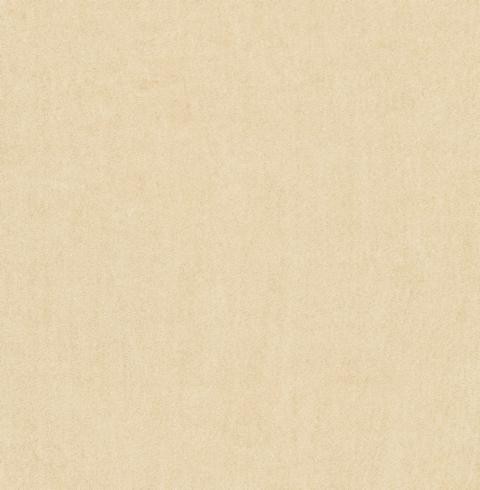 VORWERK%20Teppich%20Superior%201064%20Lyrica%206C68%205m%20Breite%20Room%20Up.JPG