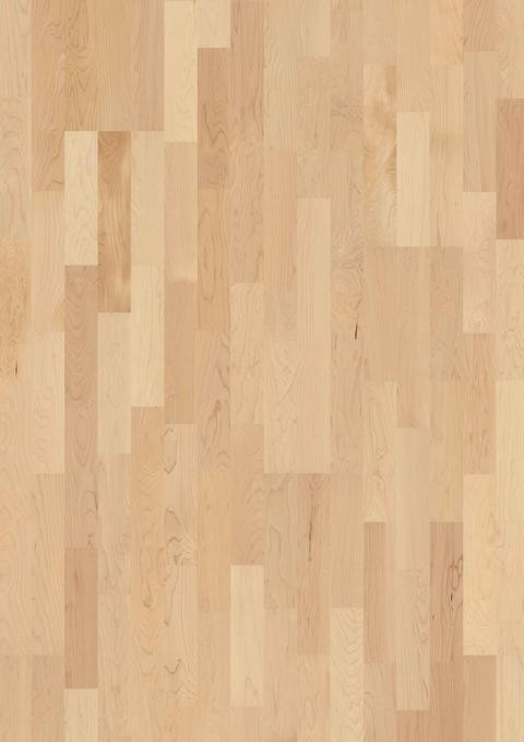 JOKA%20Deluxe%20KINGSTON%20535%20SB%20Ahorn%20canad.%20Nature%20A1801%20Room%20Up.JPG