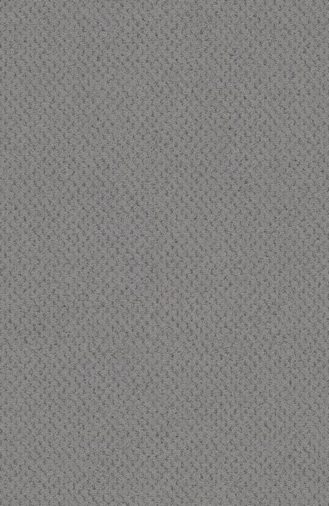 VORWERK%20Teppich%20Superior%201071%20Dacapo%205Y28%20Room%20Up.JPG