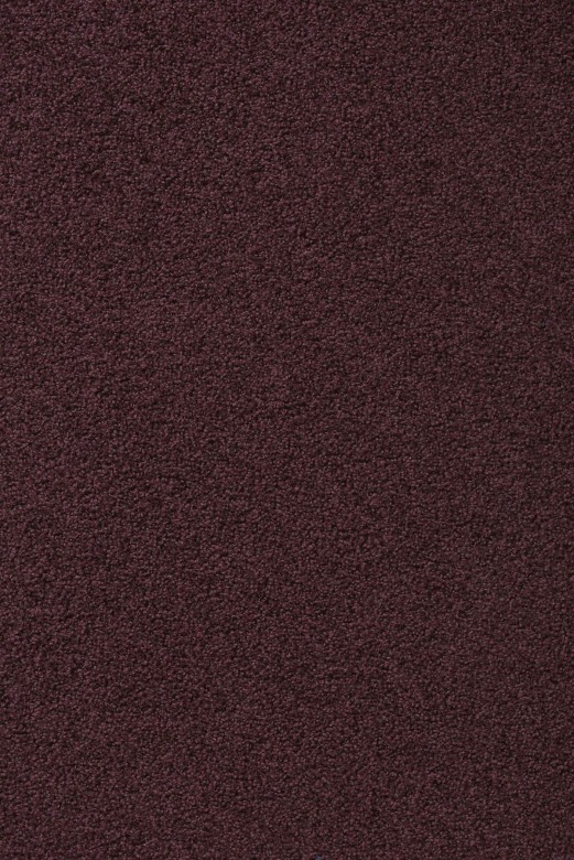 Vorwerk%20Exclusive%201009%201K79.JPG