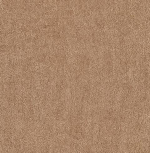 VORWERK%20Teppich%20Superior%201064%20Lyrica%202F38%204m%20Breite%20Room%20Up.JPG