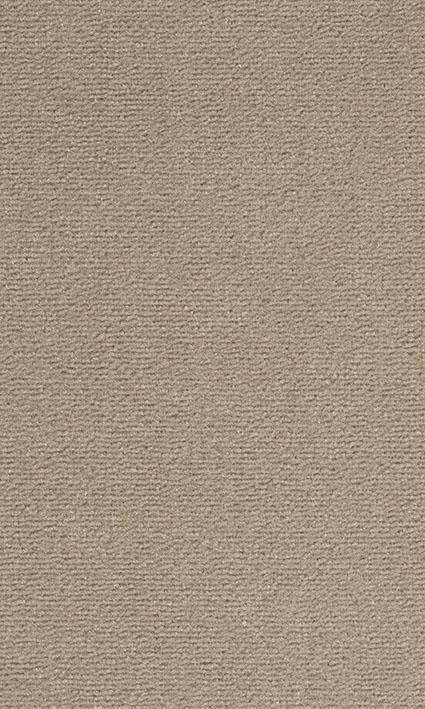 VORWERK%20Teppich%20Passion%201021%20Bingo%208K62%20Room%20Up.JPG