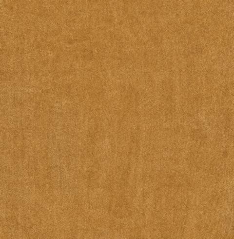 VORWERK%20Teppich%20Superior%201064%20Lyrica%202F33%204m%20Breite%20Room%20Up.JPG