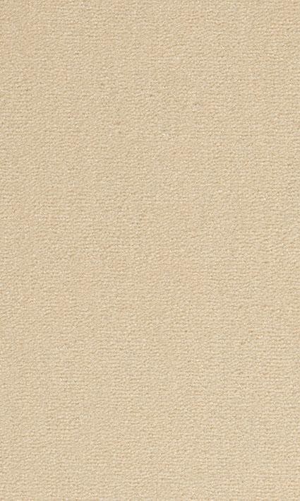 VORWERK%20Teppich%20Passion%201021%20Bingo%208K65%20Room%20Up.JPG