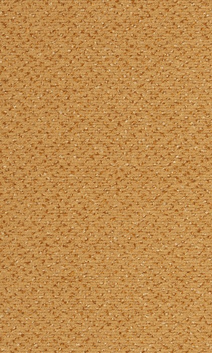 VORWERK%20Teppich%20Passion%201006%20Alexis%202F55%20Room%20Up.JPG