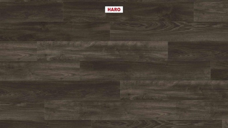 HARO%20WaveAqua%20LHD%204V%20Eiche%20Whistler%20basalt%20548203%20Room%20up.JPG