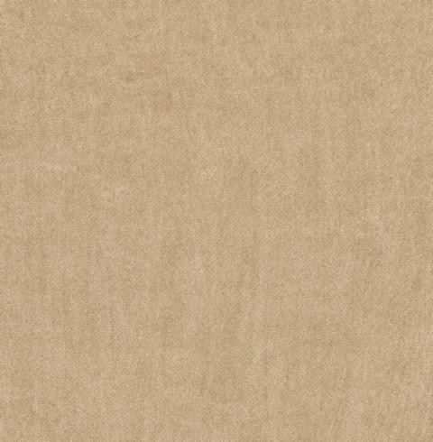 VORWERK%20Teppich%20Superior%201064%20Lyrica%208K02%204m%20Breite%20Room%20Up.JPG
