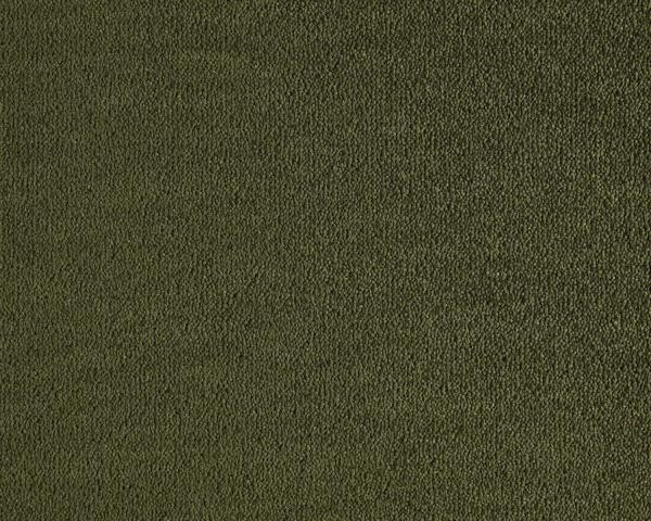 LANO%20Dream%20591%20Room%20Up.JPG