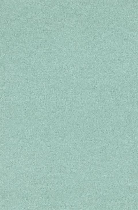 VORWERK%20Teppich%20Passion%201000%20Modena%203R21%20Room%20Up.JPG