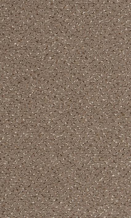 VORWERK%20Teppich%20Passion%201006%20Alexis%207G96%20Room%20Up.JPG