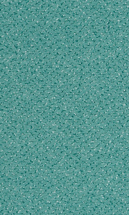 VORWERK%20Teppich%20Passion%201006%20Alexis%204H15%20%20Room%20Up.JPG