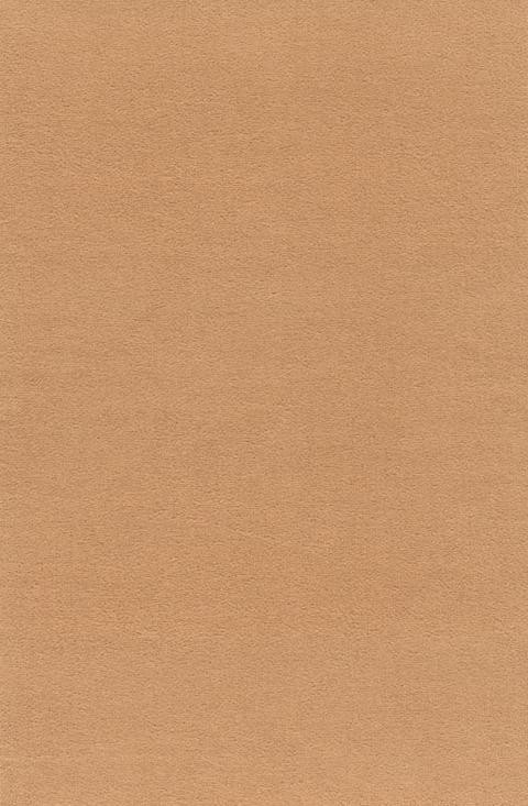 VORWERK%20Teppich%20Passion%201000%20Modena%208K54%20Room%20Up.JPG