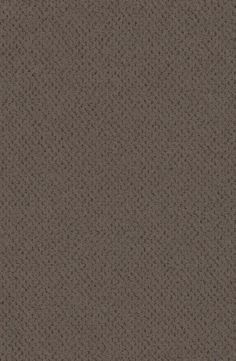 VORWERK%20Teppich%20Superior%201071%20Dacapo%205Y29%20Room%20Up.JPG