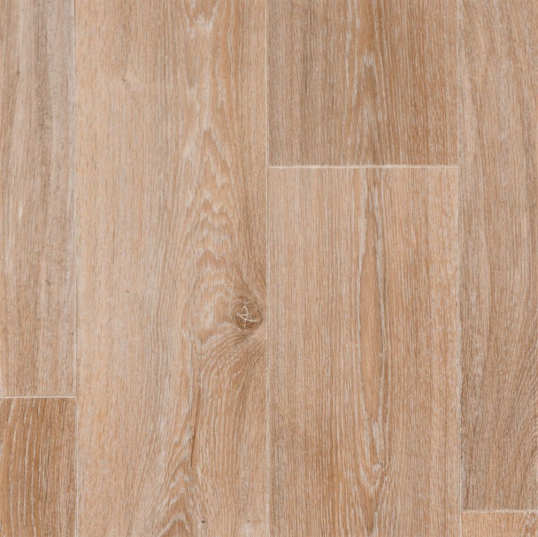 RS26355_Noma%20Nature-scr.jpg