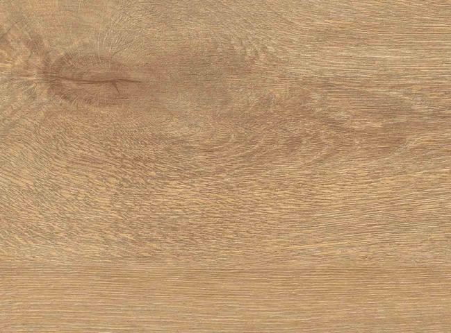 HARO%20Tritty%20100%20Gran%20Via%204V%20Silent%20Pro%20Eiche%20Veneto%20natur%20541529%20Detail%20Room%20Up.JPG