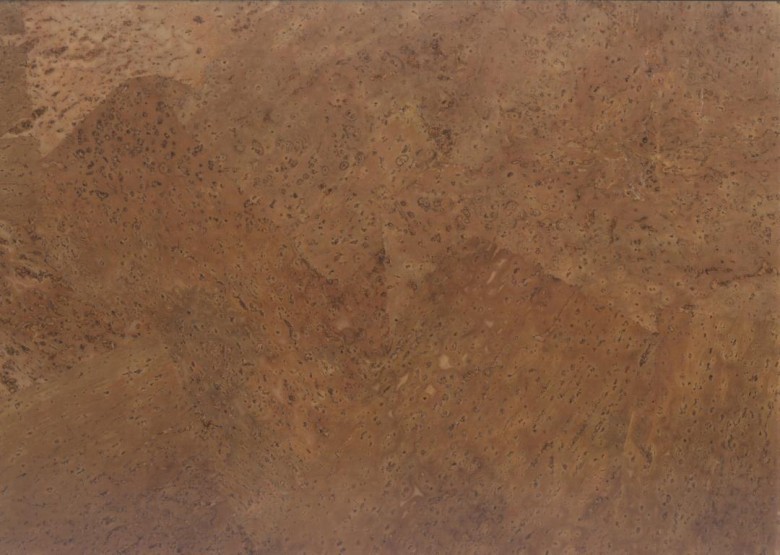 ZIRO%20ZIRO-KORK%20Korkparkett%20Harmony%20Rustico%20020157650%20Room%20Up.JPG