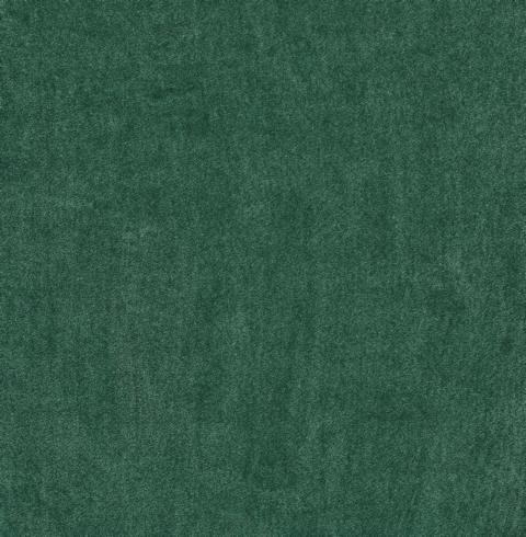 VORWERK%20Teppich%20Superior%201064%20Lyrica%204G75%204m%20Breite%20Room%20Up.JPG