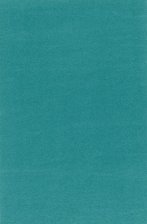 VORWERK%20Teppich%20Passion%201000%20Modena%203R22%20Room%20Up.JPG
