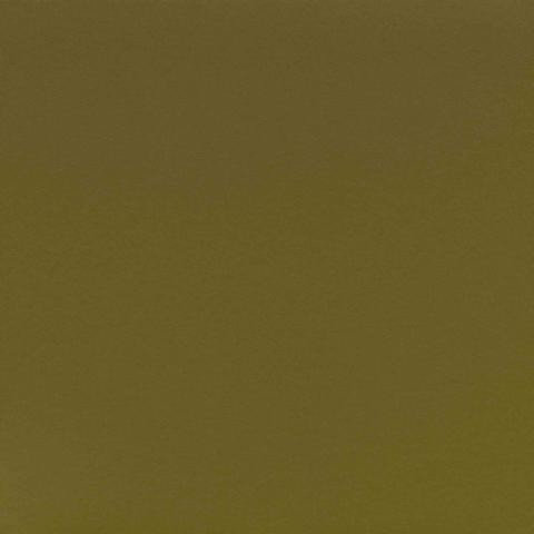 FORBO%20Allura%20Dryback%200.55%20khaki%20Fliese%2063478%20Room%20Up.JPG