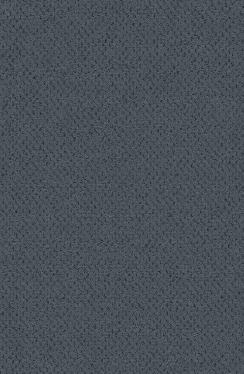 VORWERK%20Teppich%20Superior%201071%20Dacapo%205Y27%20Room%20Up.JPG