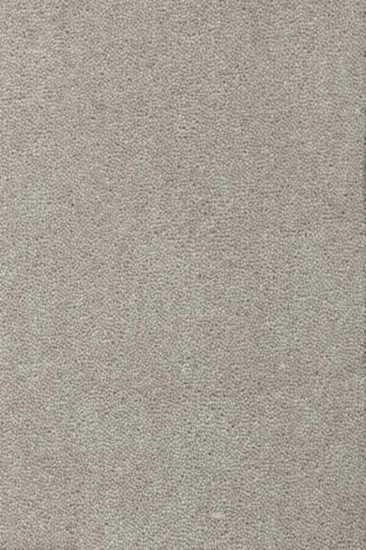 CREATUFT%20Sheba%201048%20Room%20Up_1.jpg