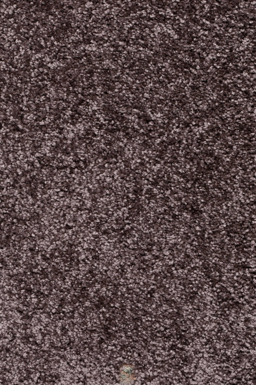 JOKA%20Trend%20026%20%20Dolce%20Farbe%2041%204m%20Breite%20Room%20up.jpg