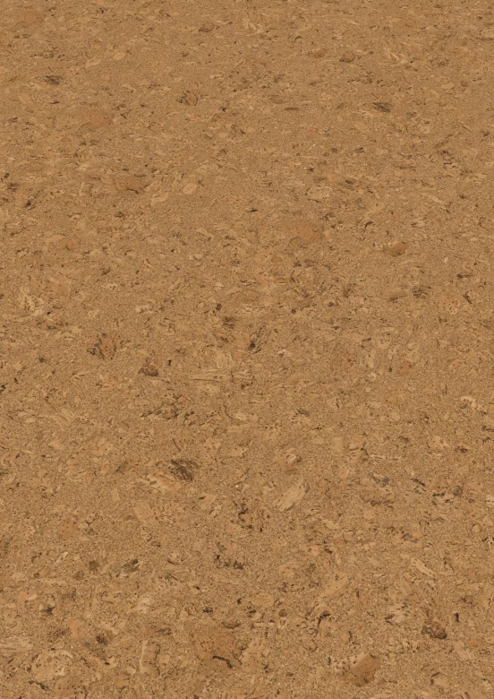 O824003_perspektive.JPG