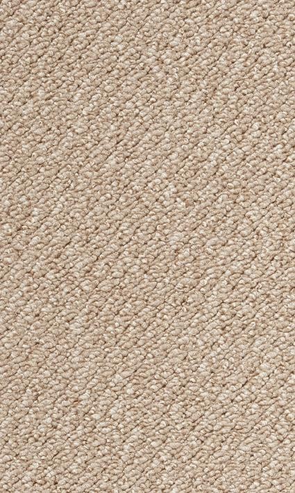 VORWERK%20Teppich%20Passion%201093%20Traffic%208K50.JPG