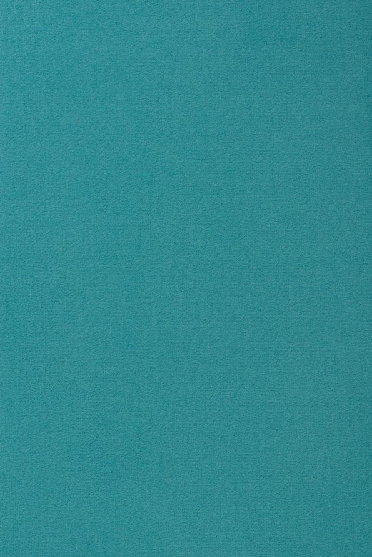 Vorwerk_Passion_1000_3N58.jpg
