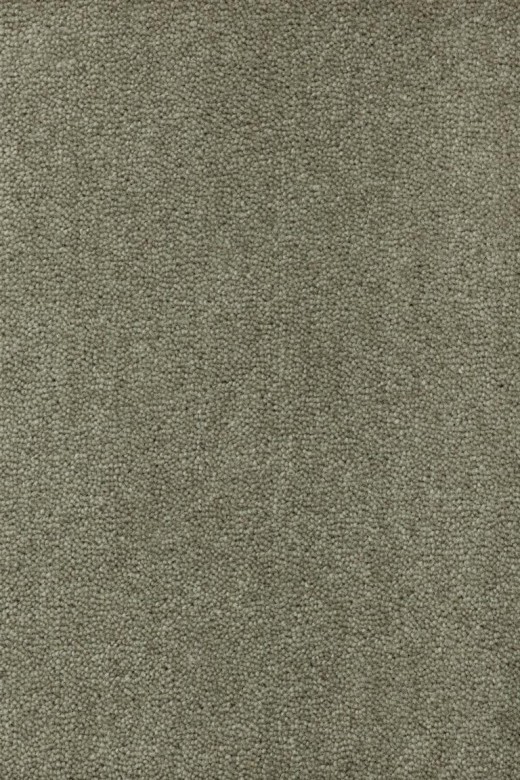 CREATUFT%20Sheba%201025%20Room%20Up.jpg