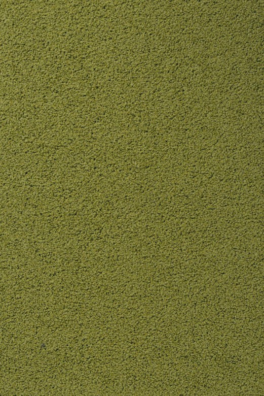 Vorwerk%20Exclusive%201009%204E65.JPG