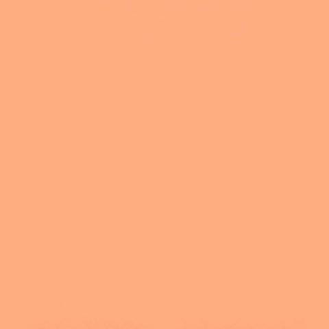 FORBO%20Allura%20Dryback%200.70%20pink%20coral%20Fliese%2063474%20Room%20Up.JPG