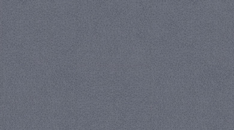 GERFLOR%20Saga²%200039%20Spider%20Blue%200039%20Room%20Up.jpg