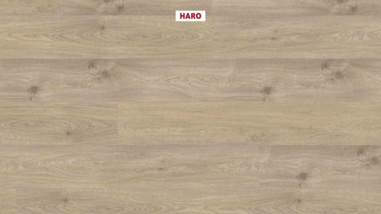 HARO%20WaveAqua%20LHD%20XL%204V%20Eiche%20Whistler%20kieselgrau%20548213%20Room%20up%20(2).JPG