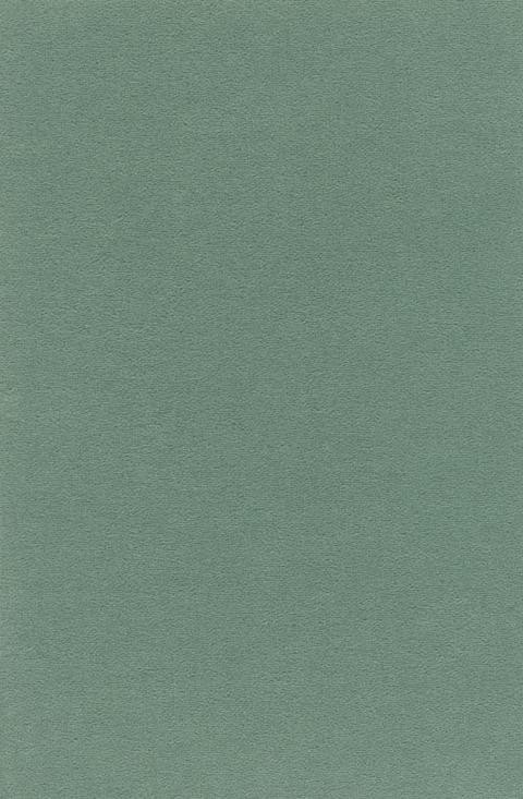 VORWERK%20Teppich%20Passion%201000%20Modena%204H12%20Room%20Up.JPG