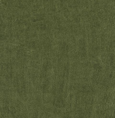 VORWERK%20Teppich%20Superior%201064%20Lyrica%204G76%204m%20Breite%20Room%20Up.JPG