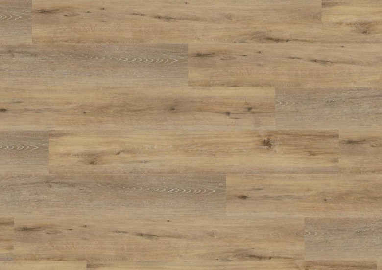 WINEO%20600%20wood%20XL%20DB192W6%20LisbonLoft%20Room%20Up.JPG