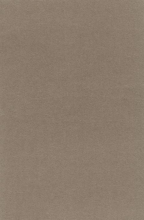 VORWERK%20Teppich%20Passion%201000%20Modena%205T08%20Room%20Up.JPG