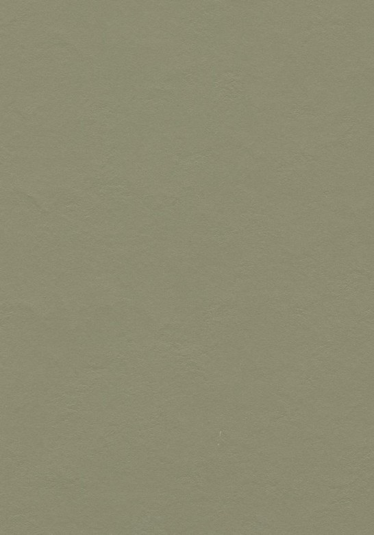 FORBO%20Marmoleum-Click%20333355%20rosemary%20green%20Room%20Up.JPG